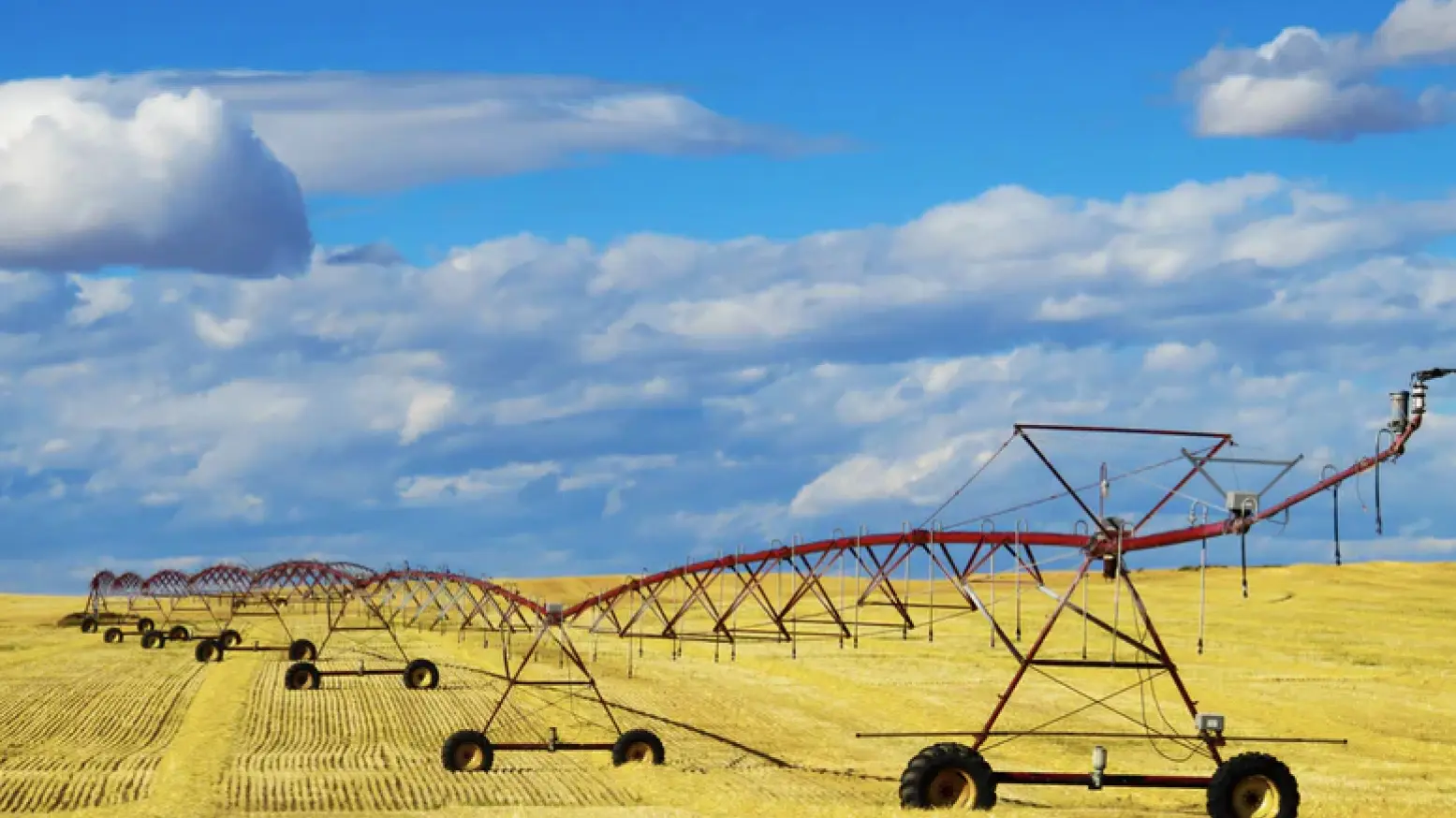 Case Study | Water Irrigation